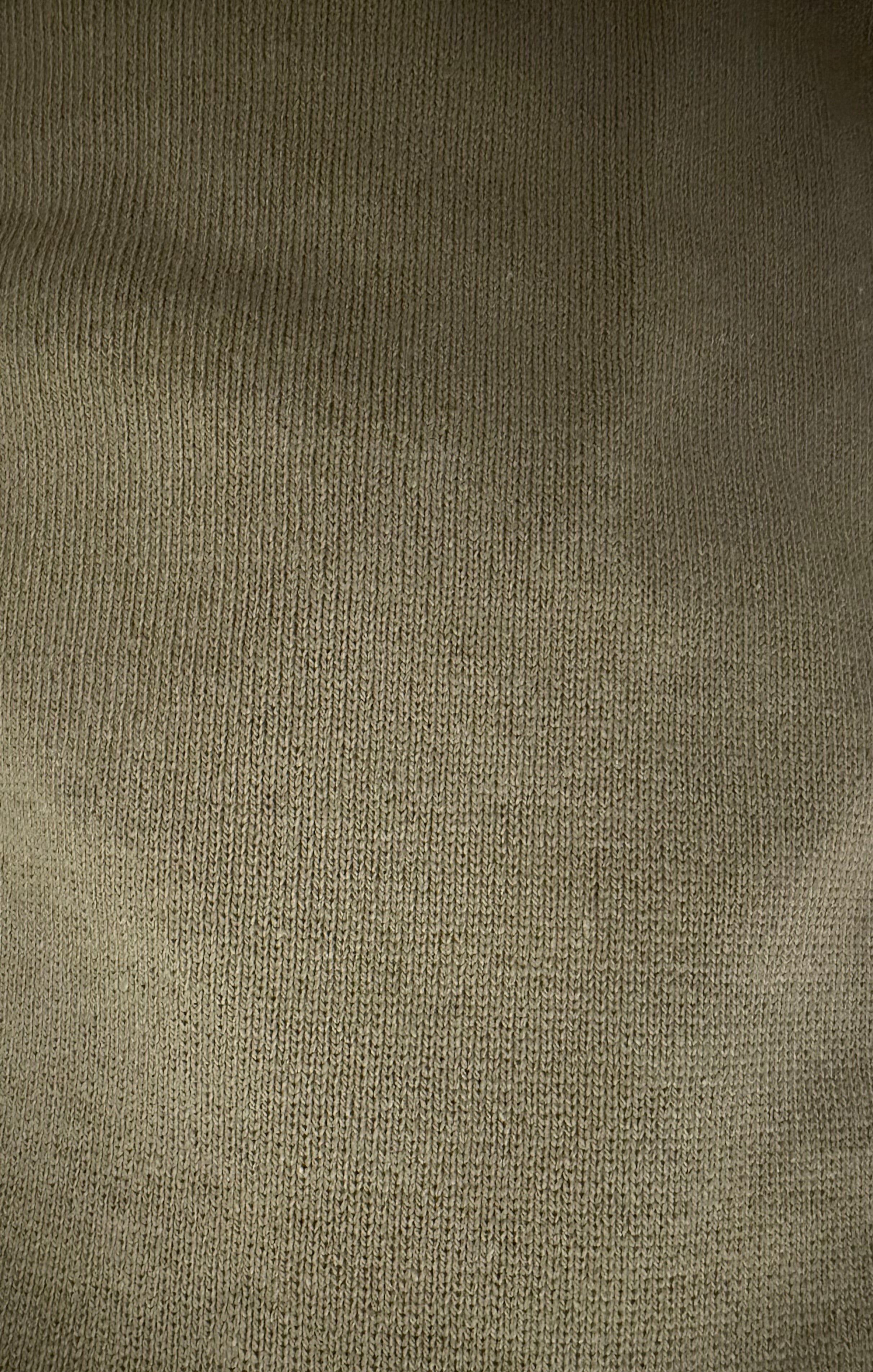 Heavyweight Japanese Cotton Jersey Knit Fabric | 100% Cotton | 2-Way Stretch | 303 GSM | Premium Apparel Fabric | Khaki